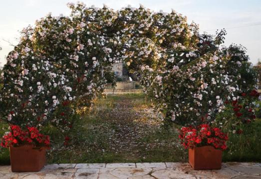 Masseria Le Celline
