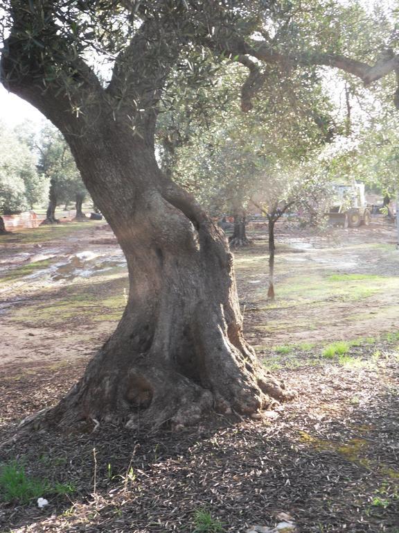 Farm stay Masseria Le Celline Nardo