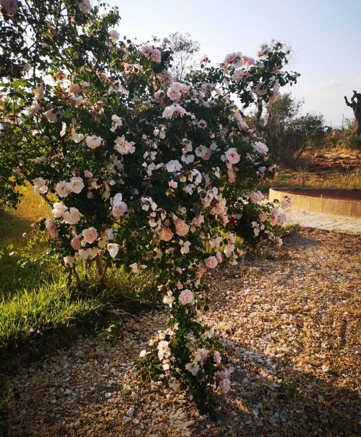 Masseria Le Celline Nardò